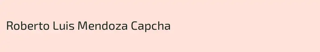 Roberto Luis Mendoza Capcha